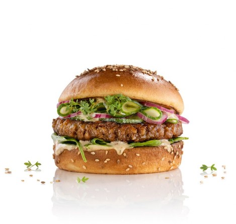 Burger per Vegani & Vegetariani